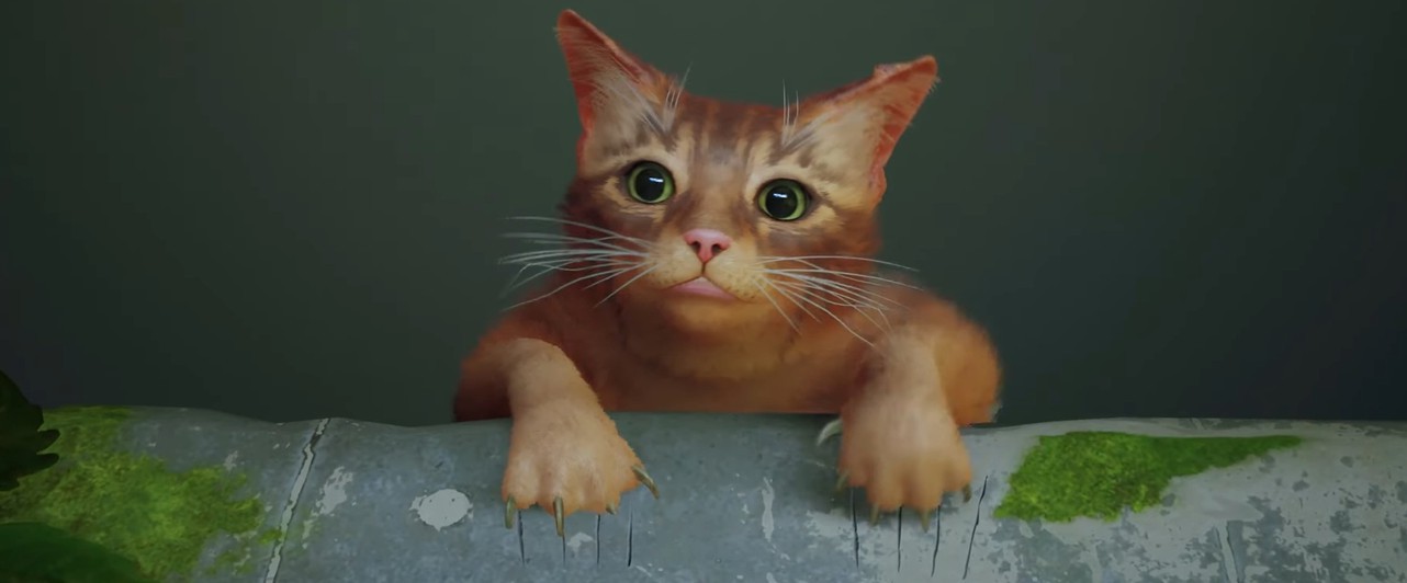 Обычные кошачьи делишки в Stray: видео